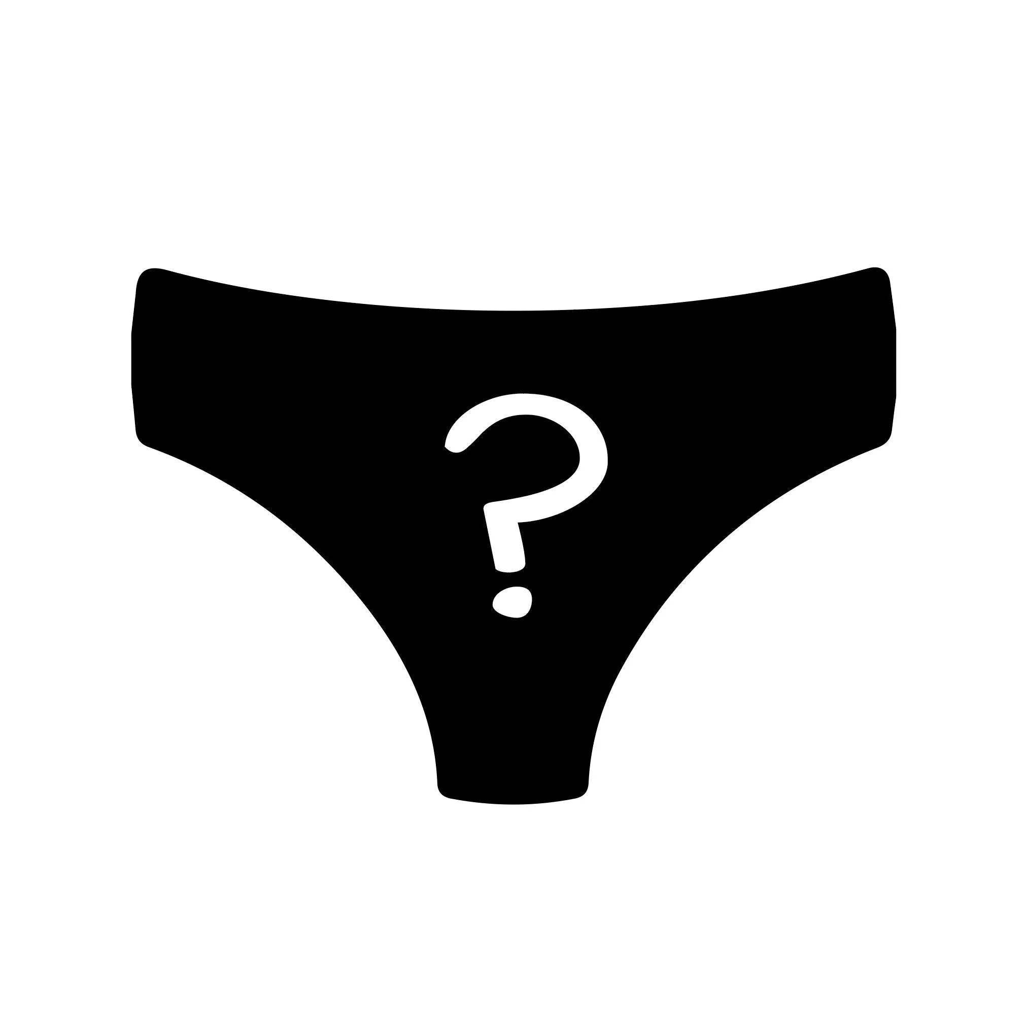 12 Month Pre-Paid: Ladies Brief & Free Socks - Monthly Subscription [G2]